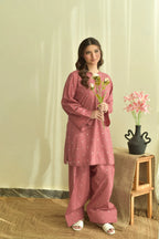 Embroidered Pari 3PCS