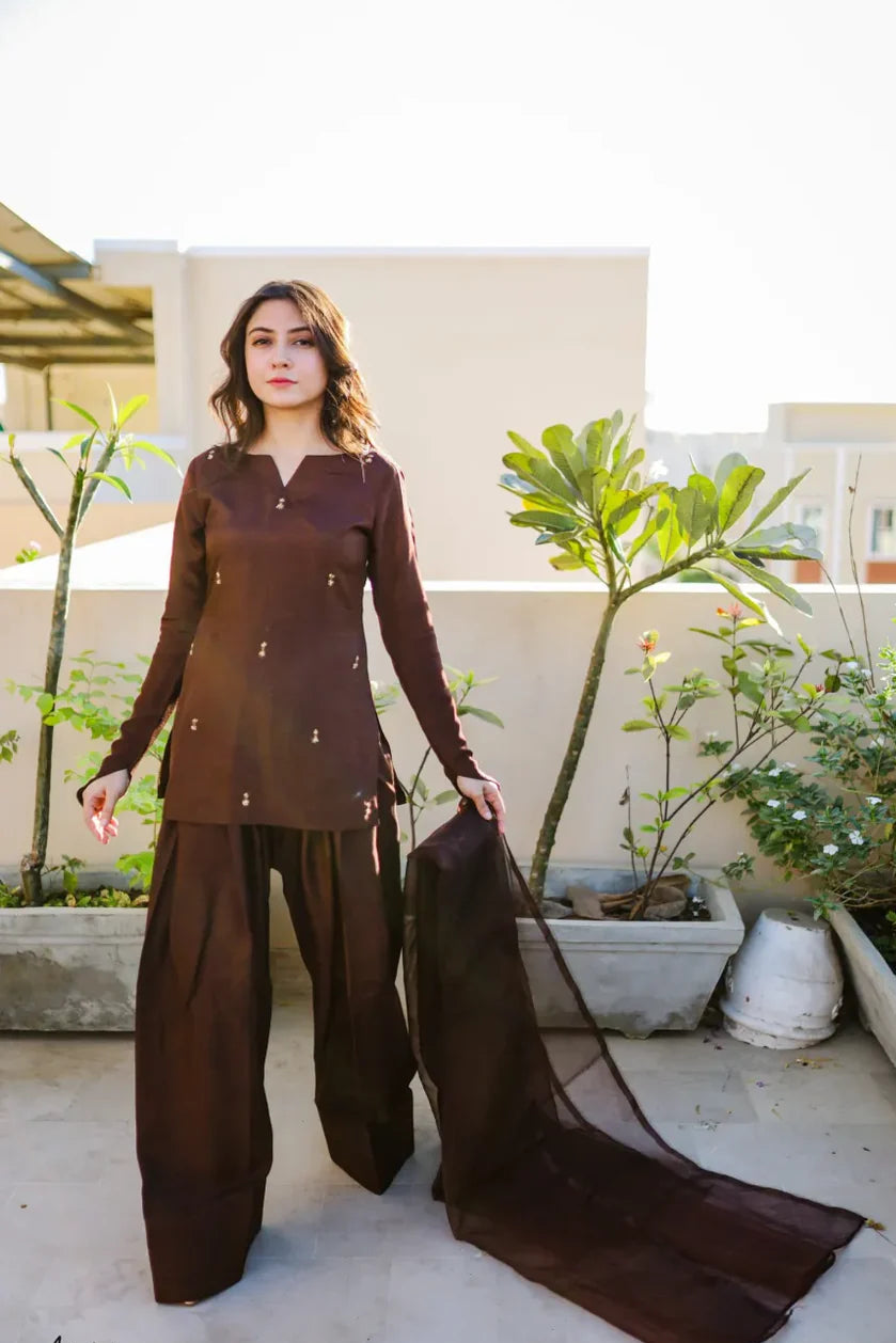 Embroidered Shahmeen 3PCS