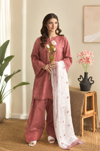 Embroidered Pari 3PCS